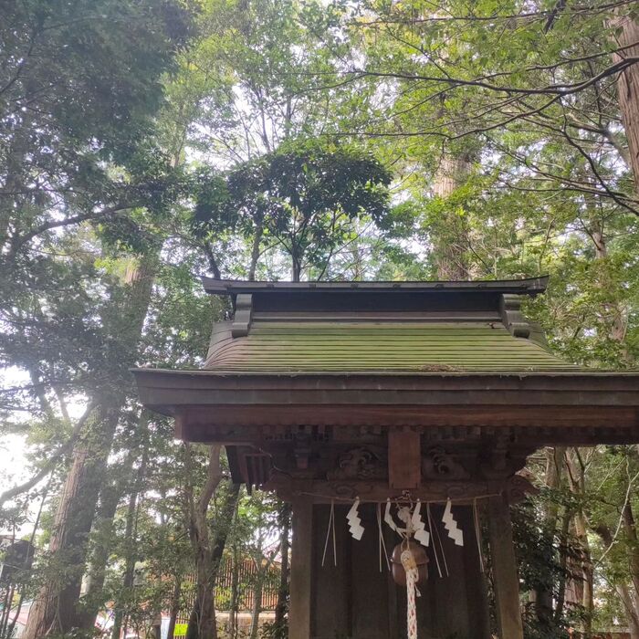 画像481