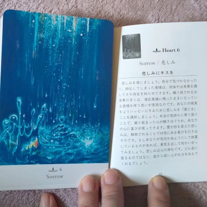 画像490