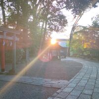 画像543