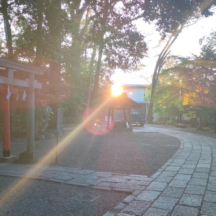 画像543