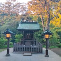 画像544