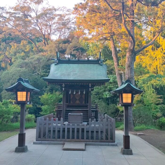 画像544