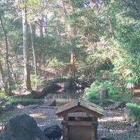 画像545