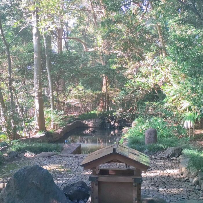 画像545