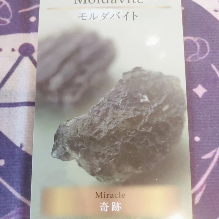 画像730