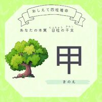 画像756