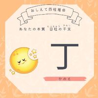 画像784