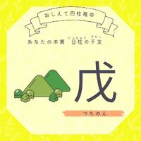 画像793
