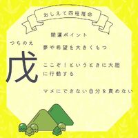 画像798